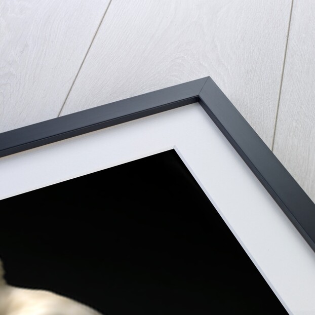 A Greek Boxer Waiting His Turn by Joseph Gott