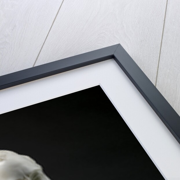 Alexander Pope by Louis François Roubiliac