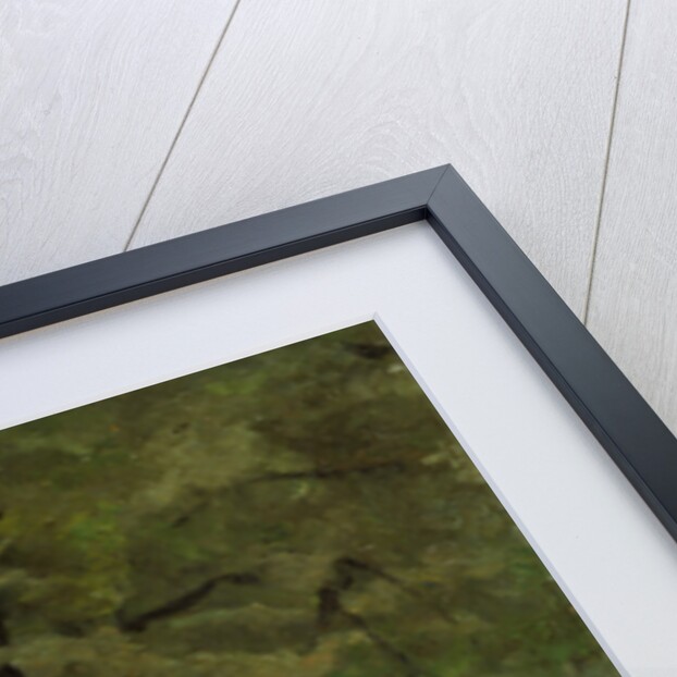 The Lady's Mile, Kensington Gardens, London by Paul Fordyce Maitland