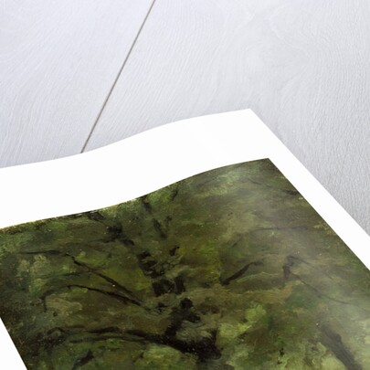 The Lady's Mile, Kensington Gardens, London by Paul Fordyce Maitland