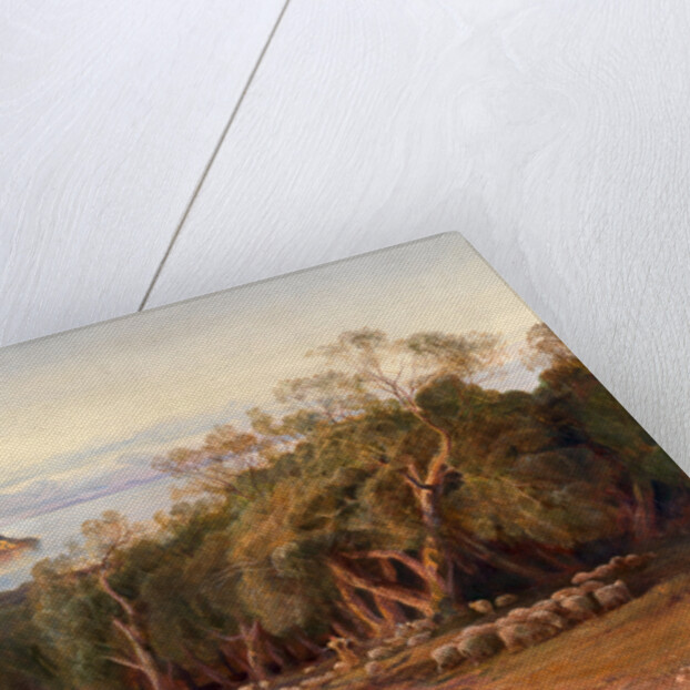 Corfu from Ascension by Edward Lear