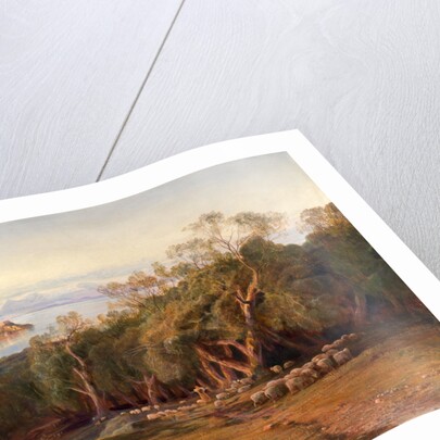 Corfu from Ascension by Edward Lear