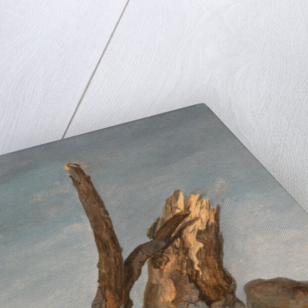 Study of Rocks and Branches by George Augustus Wallis