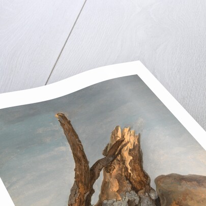 Study of Rocks and Branches by George Augustus Wallis