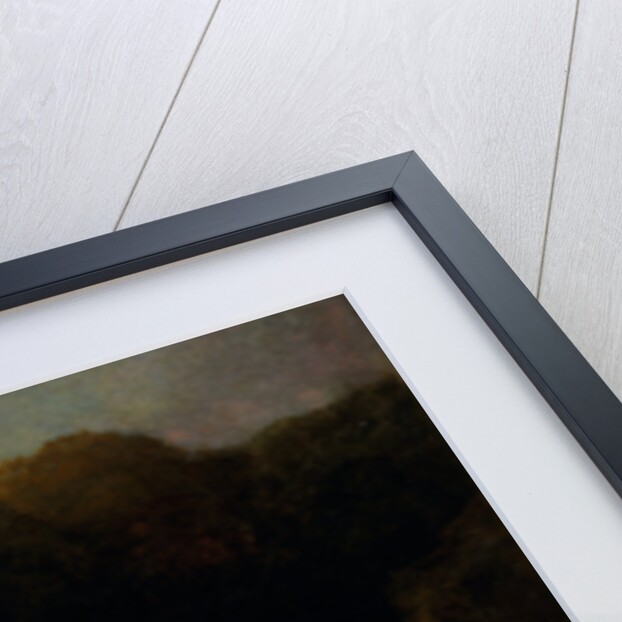 Greenland Falcon Gyr Falcon by George Stubbs