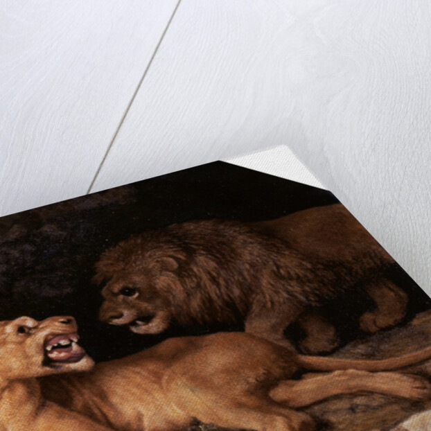 Lion and Lioness by George Stubbs