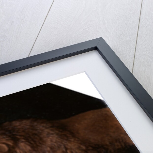 Lion and Lioness by George Stubbs