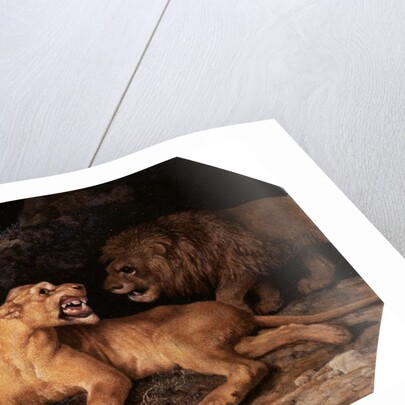 Lion and Lioness by George Stubbs