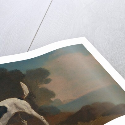 Foxhound Foxhound on the Scent by George Stubbs