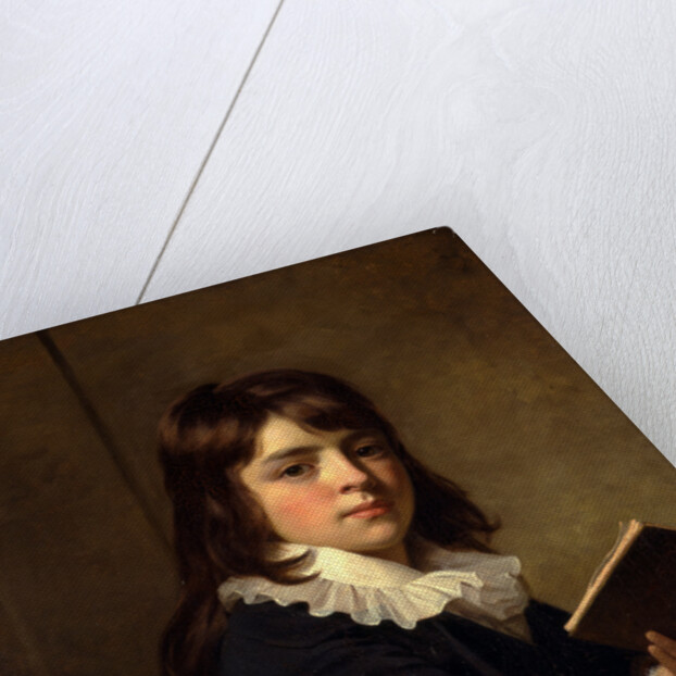 Portrait of a Boy An Unknown Boy by Sir William Beechey
