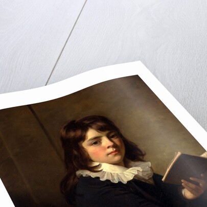 Portrait of a Boy An Unknown Boy by Sir William Beechey