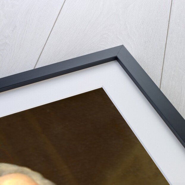 An Unknown Man in Black by Joseph Highmore