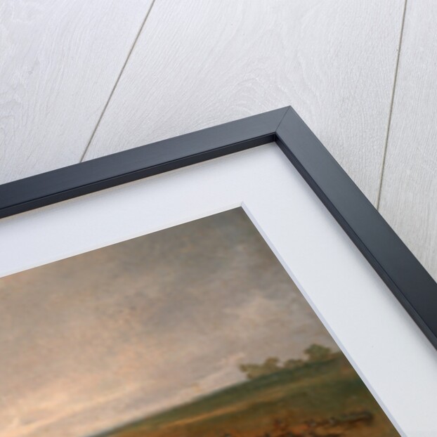 A Review of the London Volunteer Cavalry and Flying Artillery in Hyde Park in 1804 by Anonymous