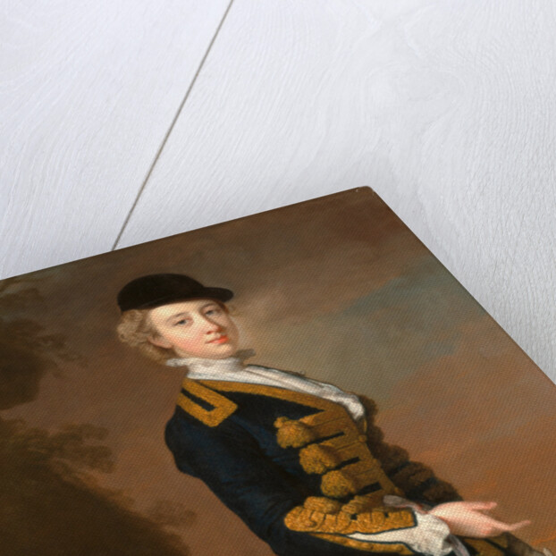 Portrait of a Young Woman of the Fortesque Family of Devon by Thomas Hudson