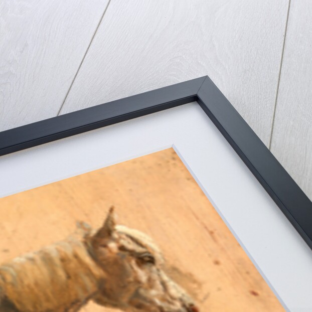 Study of a Grey Horse by Jacques-Laurent Agasse