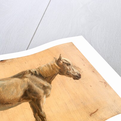 Study of a Grey Horse by Jacques-Laurent Agasse