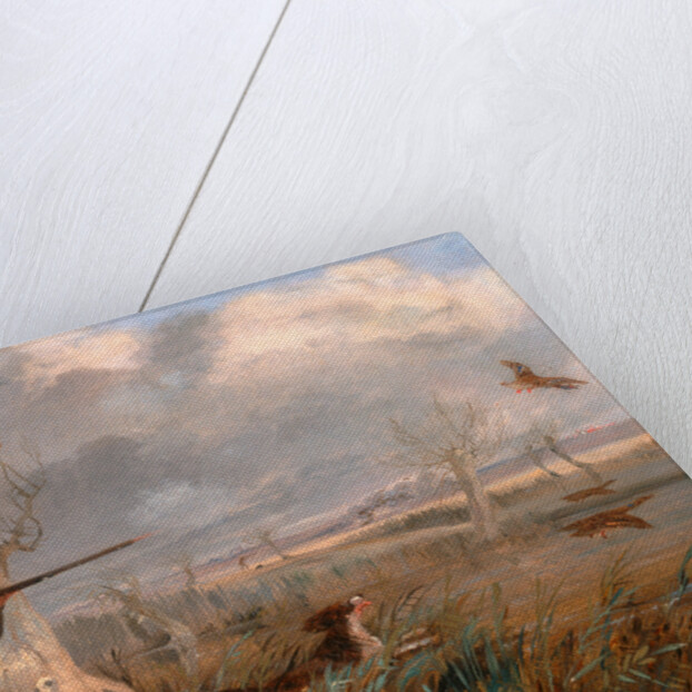 Duck Shooting by Henry Thomas Alken