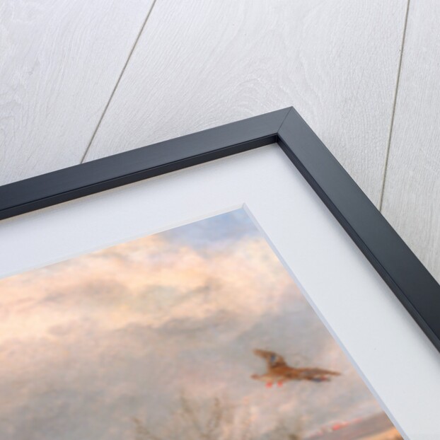 Duck Shooting by Henry Thomas Alken