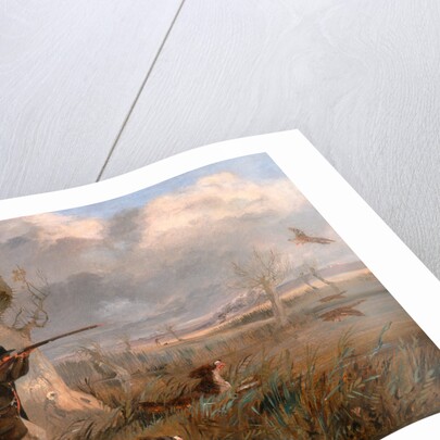 Duck Shooting by Henry Thomas Alken