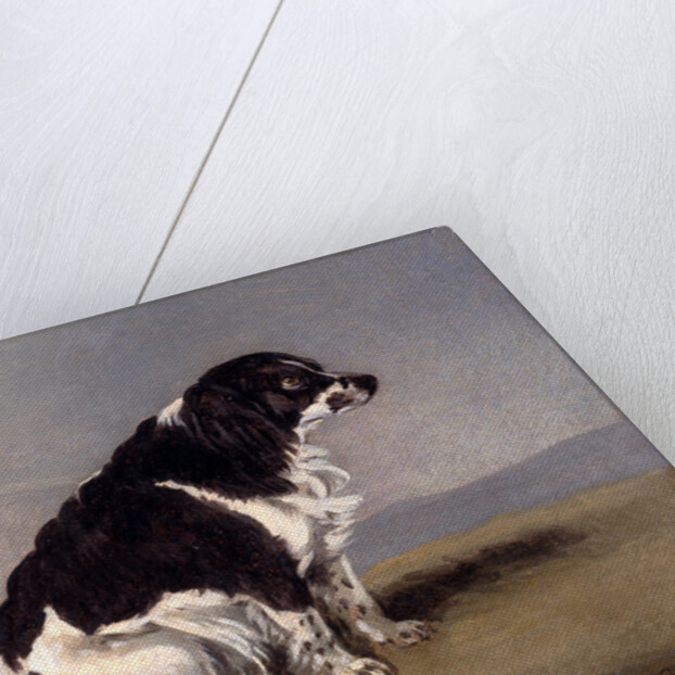 The Duchess of York's Spaniel by Henry Bernard Chalon