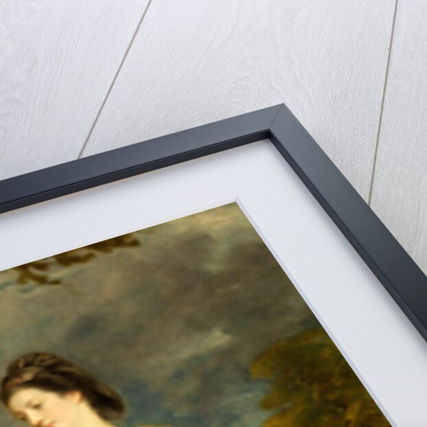 Elizabeth Gunning, Duchess of Hamilton and Argyll by Sir Joshua Reynolds