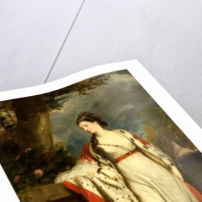 Elizabeth Gunning, Duchess of Hamilton and Argyll by Sir Joshua Reynolds