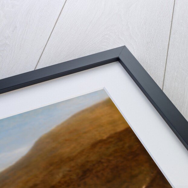 Edward Horner Reynard and his Brother George Grouse-Shooting At Middlesmoor by John Ferneley