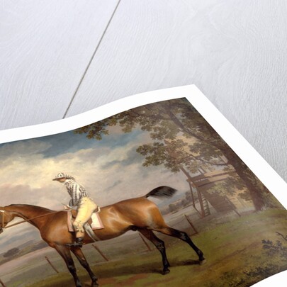 Portrait of a Racehorse, Possibly Disguise by George Garrard
