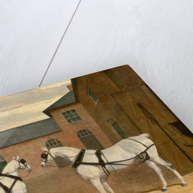 Grey carriage horses in the coachyard at Putteridge Bury by John Frederick Herring