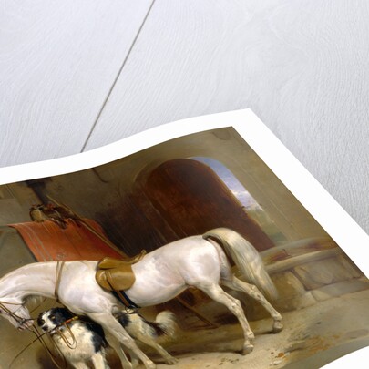 Favourites, the Property of H.R.H. Prince George of Cambridge by Sir Edwin Henry Landseer