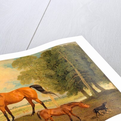 Broodmare with Foal, and a Terrier by Benjamin Marshall