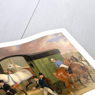The Derby Pets: The Arrival by James Pollard