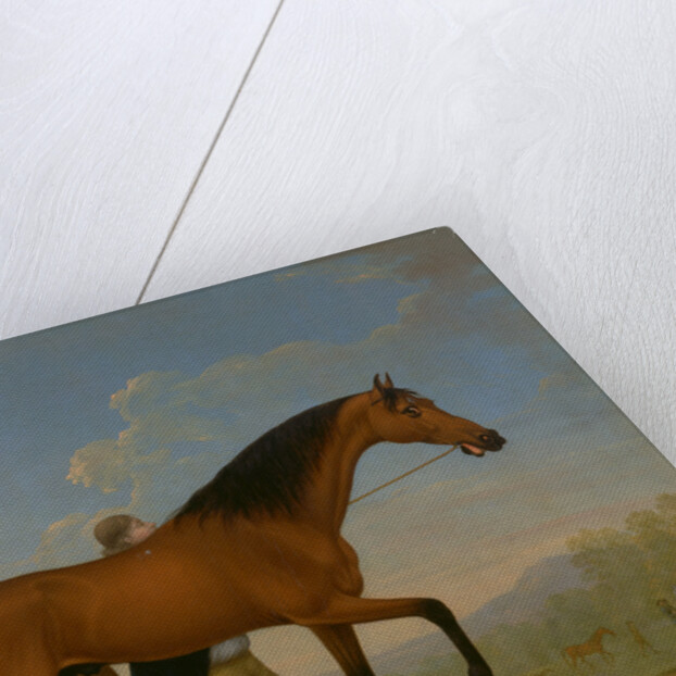 The Duke of Ancaster's Bay Stallion, Blank, Walking Towards a Mare King Herod by William Shaw