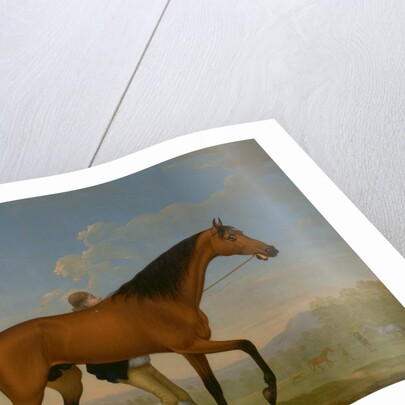 The Duke of Ancaster's Bay Stallion, Blank, Walking Towards a Mare King Herod by William Shaw