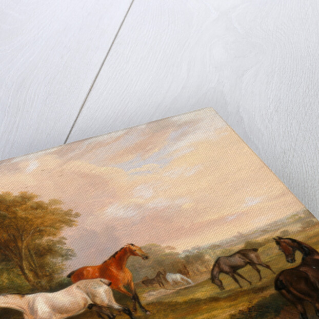 Horses Grazing: a Grey Stallion Grazing with Mares in a Meadow by Calcraft Turner