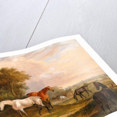 Horses Grazing: a Grey Stallion Grazing with Mares in a Meadow by Calcraft Turner