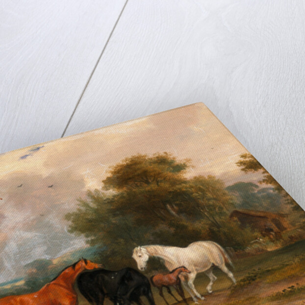 Horses Grazing: Mares and Foals in a Field by Calcraft Turner
