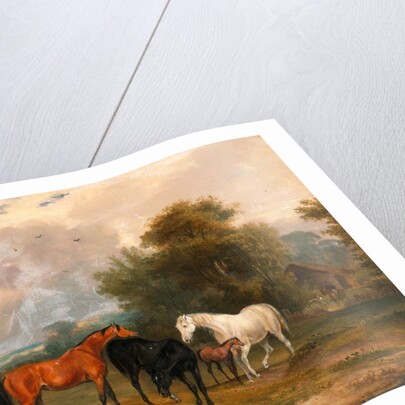 Horses Grazing: Mares and Foals in a Field by Calcraft Turner