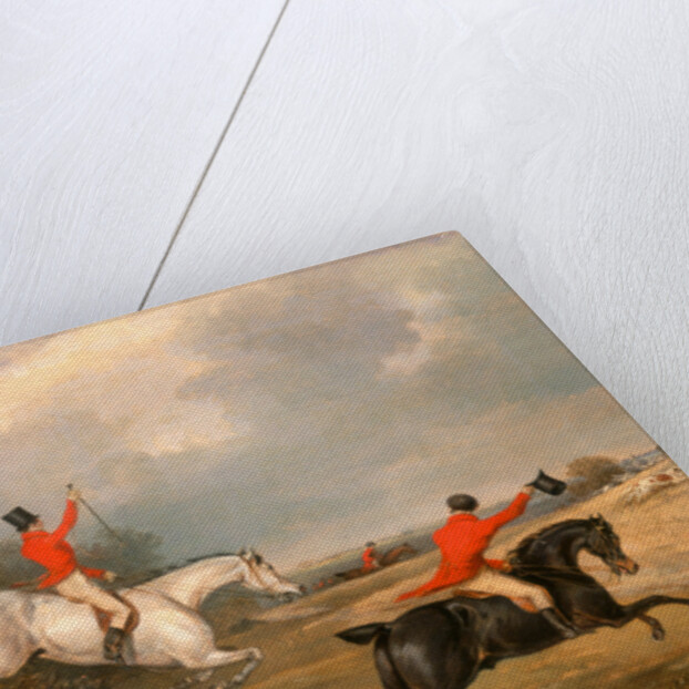 Bachelor's Hall: Breaking Cover by Calcraft Turner