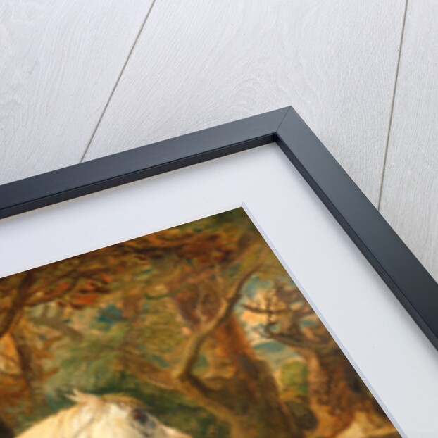 Grey Arabian stallion, the property of Sir Watkin Williams-Wynn by James Ward