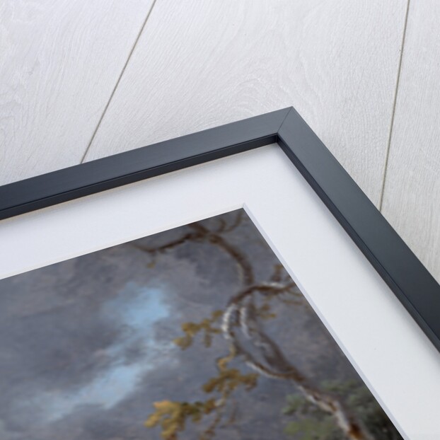 A Border Leicester Ewe by James Ward