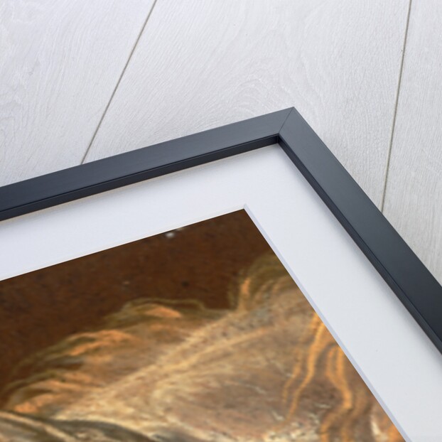 Head of a Grey Arabian Horse by Martin Theodore Ward