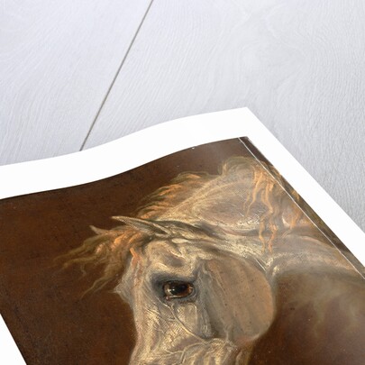 Head of a Grey Arabian Horse by Martin Theodore Ward