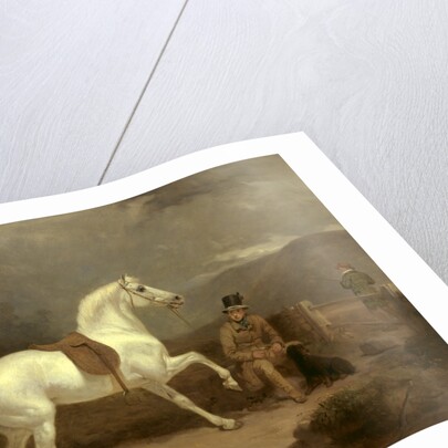 Grey Shooting Pony, Probably the Property of Johnston King by Thomas Woodward