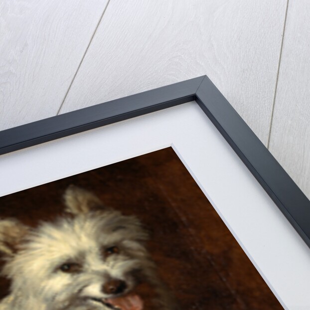 Spitz Dog A Dog by Thomas Gainsborough