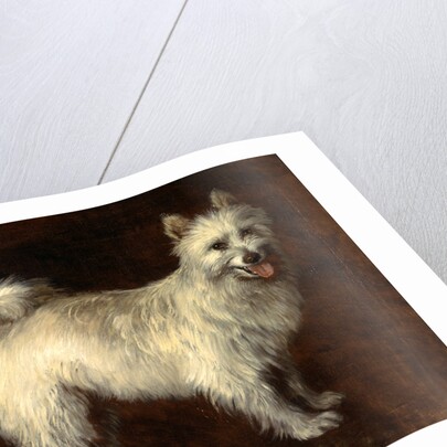 Spitz Dog A Dog by Thomas Gainsborough