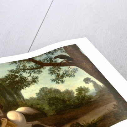 The Farmer's Wife and the Raven by George Stubbs