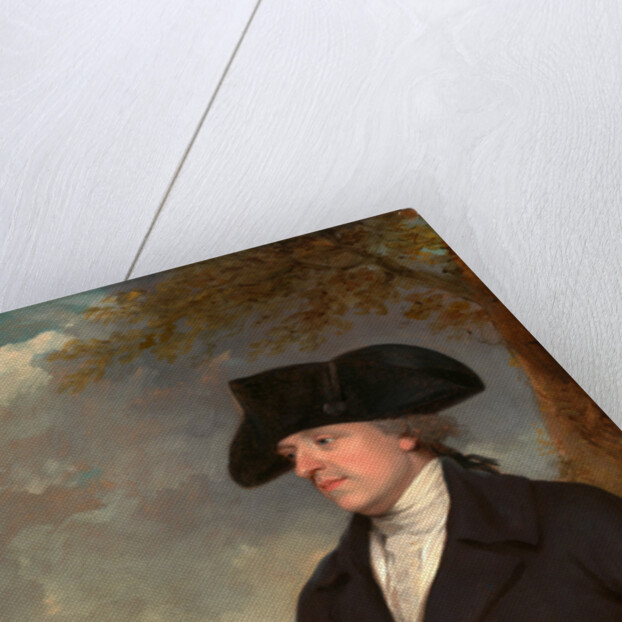 Captain Stevens by Francis Wheatley