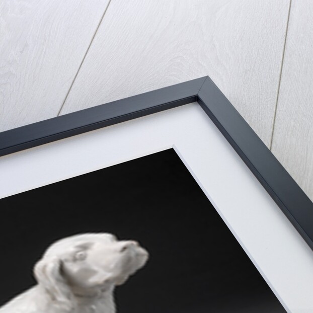 Ceramic, A Setter by Anonymous