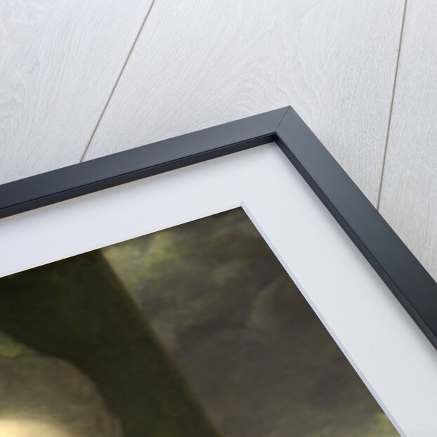 Mrs. Abington as Miss Prue in 'Love for Love' by William Congreve by Sir Joshua Reynolds